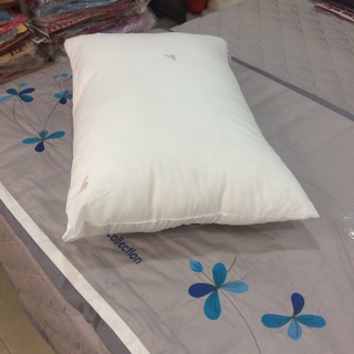 Ruột gối sông hồng