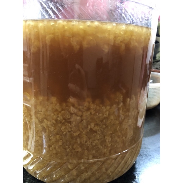 FREESHIP 50K] Combo 8 món đầy đủ nuôi nấm nước Water Kefir, nấm nước-tốt cho sức khỏe