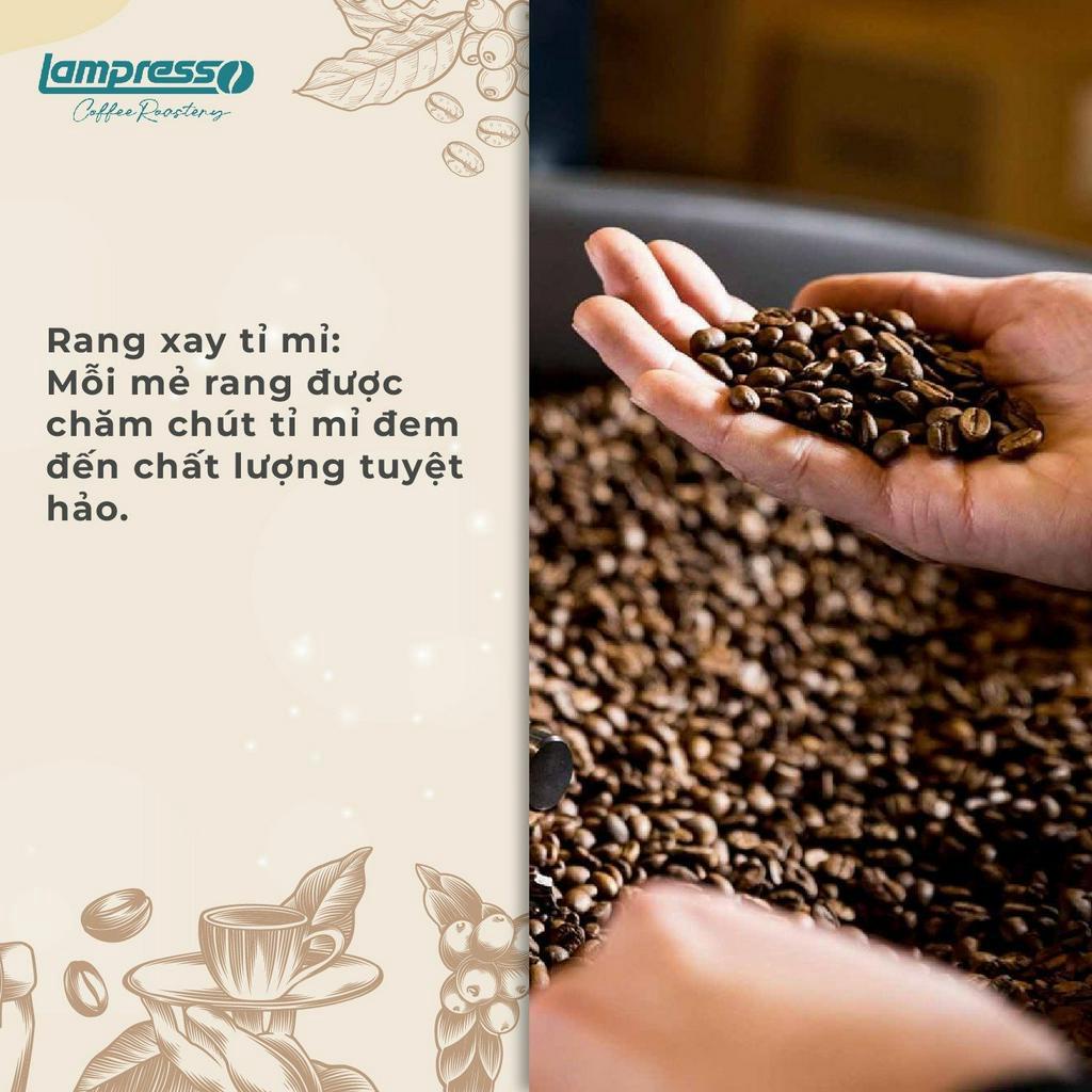 Cà phê Robusta Bảo Lộc túi 500gr đậm đà, đắng dịu - Lampresso Coffee