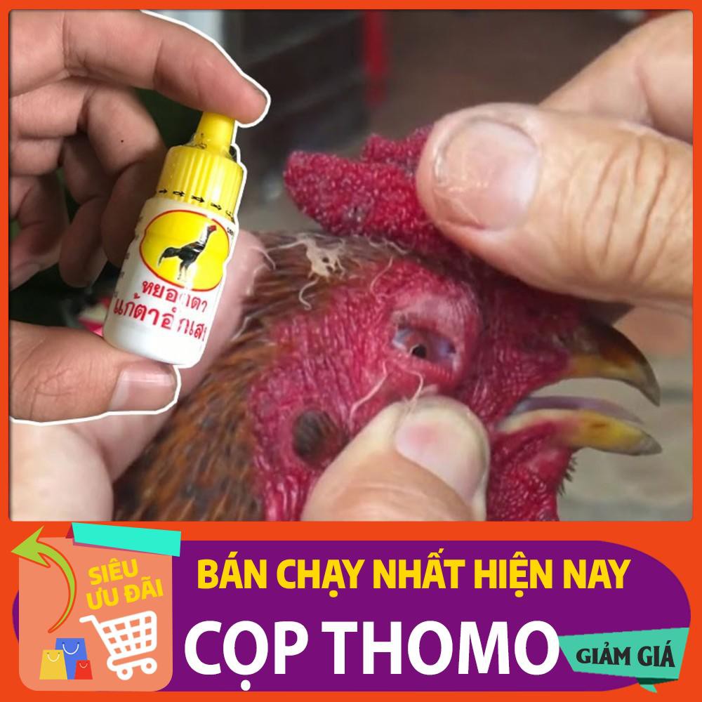 [thuốc đá gà cựa sắt] Thuốc nhỏ mắt cho gà Thái Lan , trị đau mắt , sưng mắt , sán mắt , chảy nước mắt , đục giác mạc.