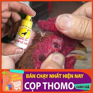 [thuốc đá gà cựa sắt] Thuốc nhỏ mắt cho gà Thái Lan , trị đau mắt , sưng mắt , sán mắt , chảy nước mắt , đục giác mạc.