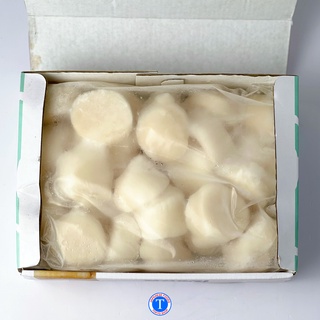 CỒI SÒ ĐIỆP NHẬT BẢN - HOTATE (Hộp)