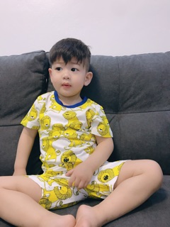 Bộ sư tử little maven