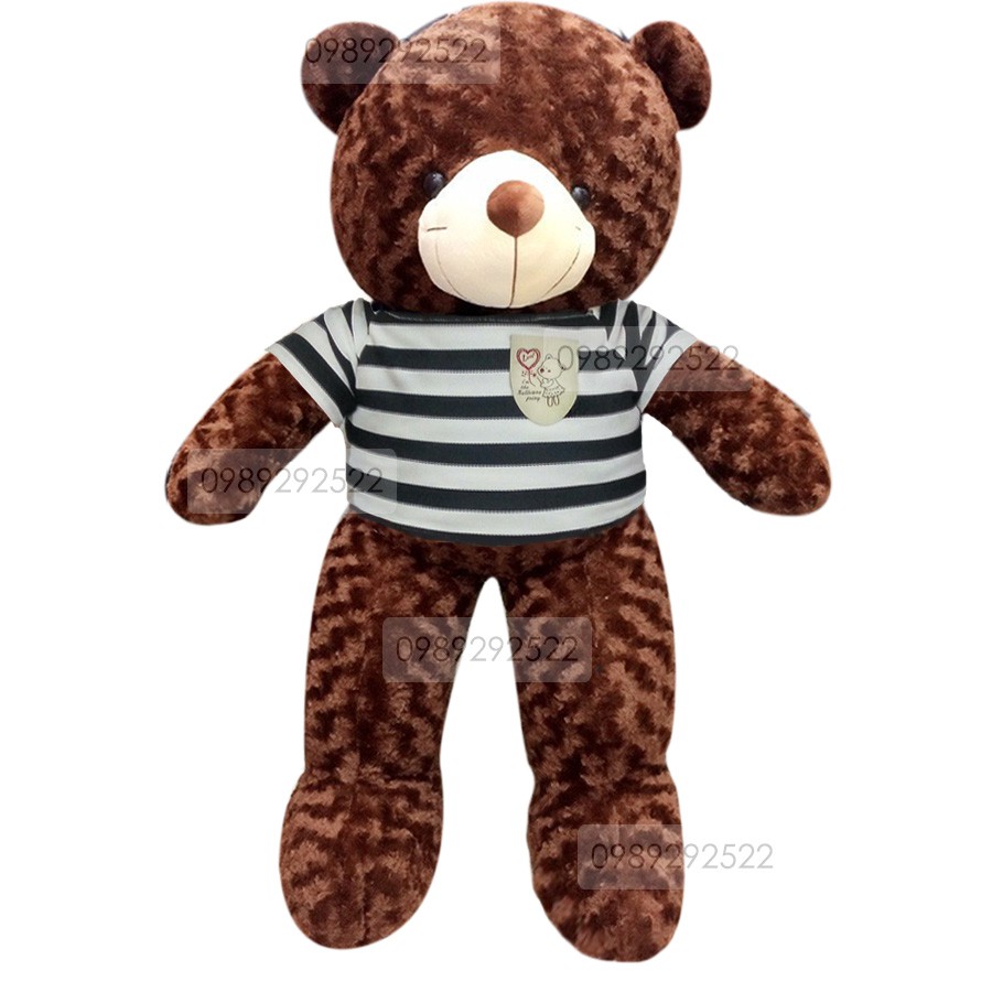 Gấu teddy 1m lông xoắn nhiều màu, áo thun sọc đen CAO CẤP