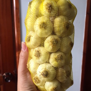 Tỏi Phan Rang