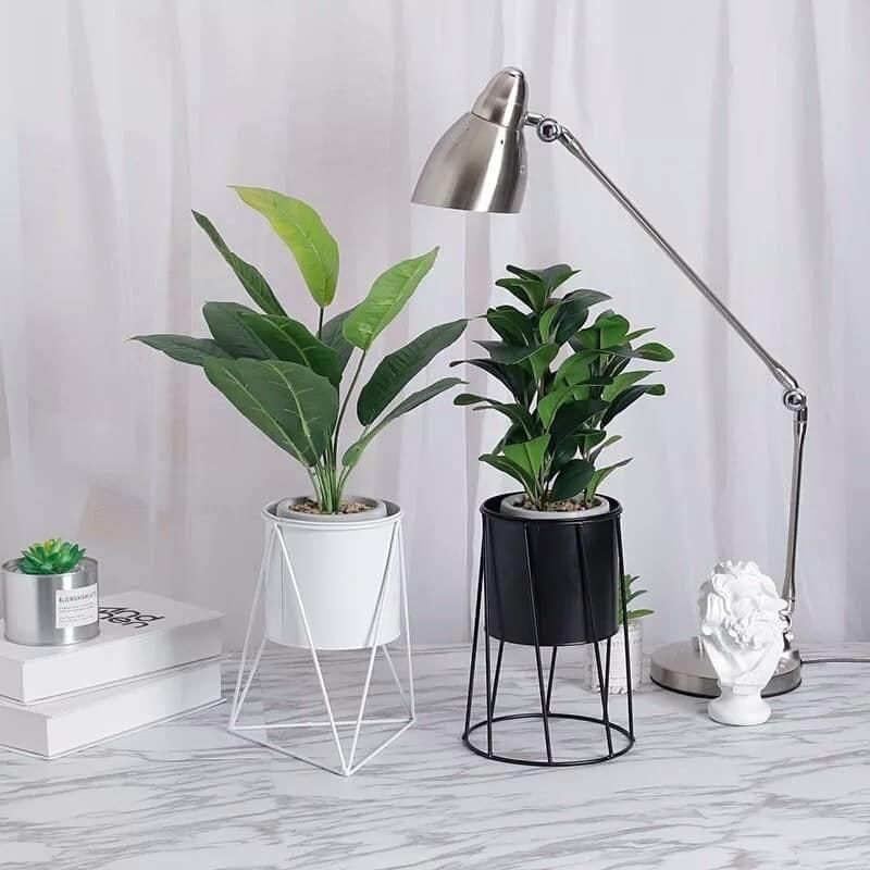 Bộ 2 Chậu Hoa Bằng Sắt Đứng 30cm 1 Set