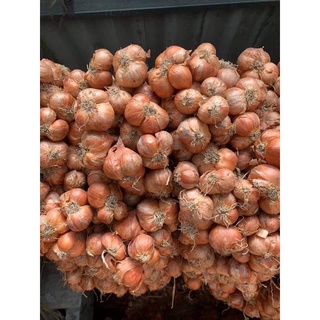 Hành khô kinh môn hải dương