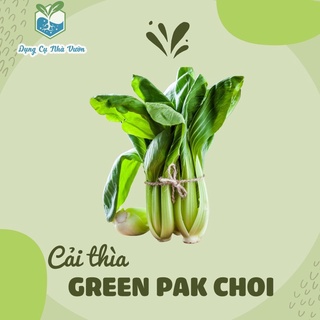 [Hạt giống Mỹ] - Cải thìa Green Park