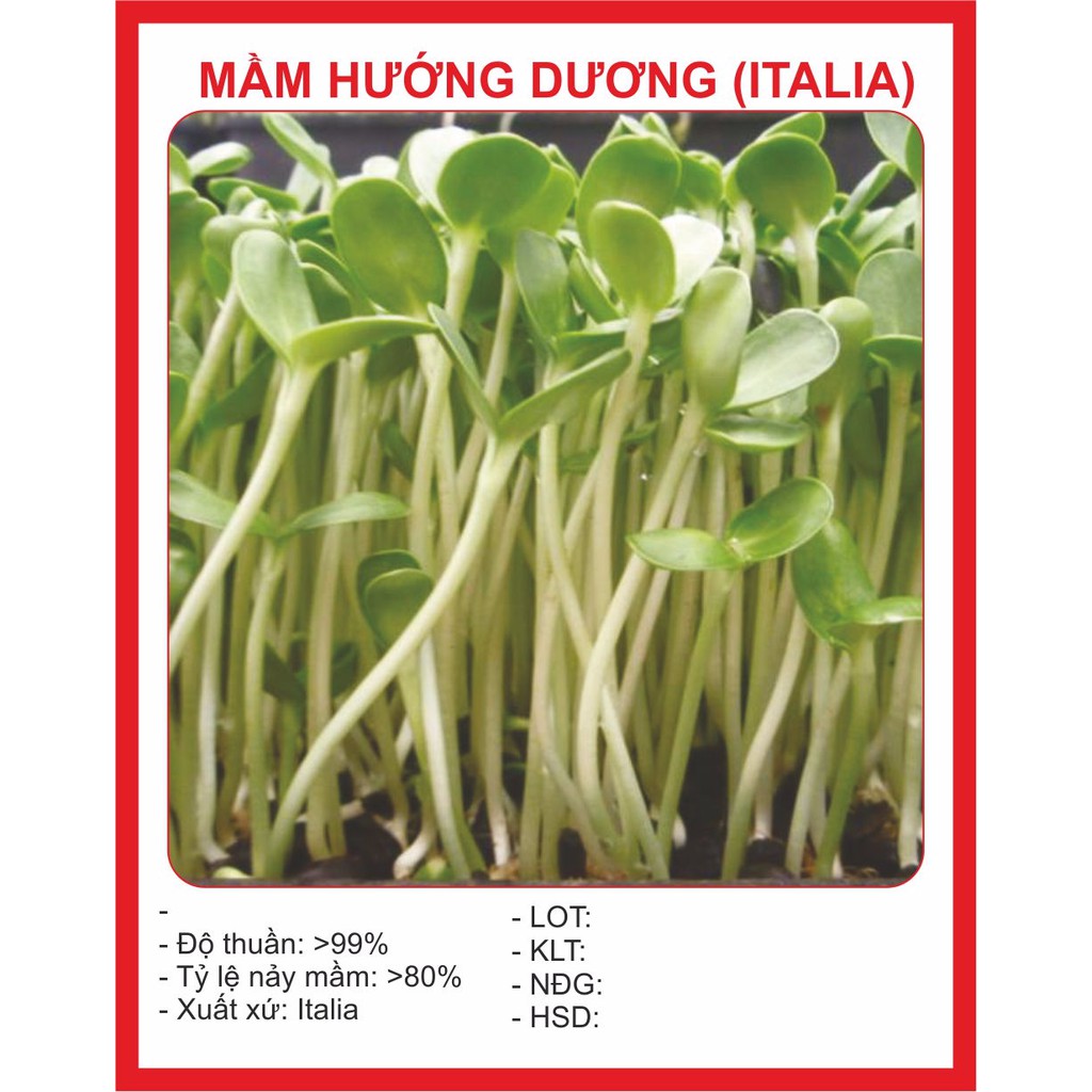 Hạt Giống Mầm Hướng Dương 40Gram