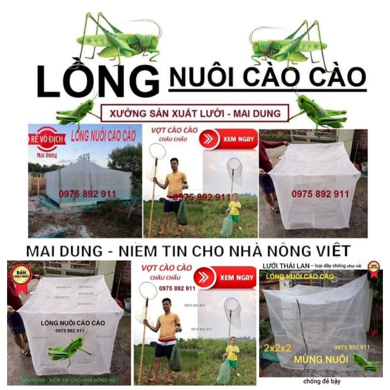 Lồng nuôi cào cào 3x2x2