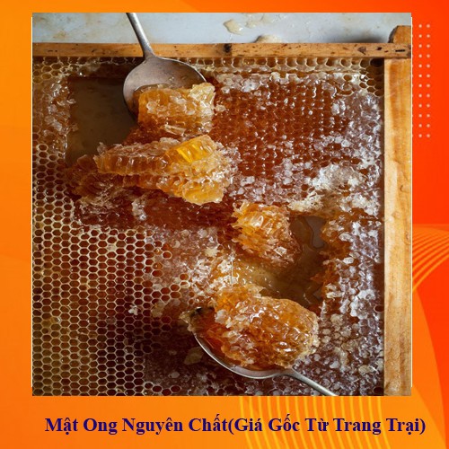 [TRỢ GIÁ] Mật ong rừng đa hoa đặc biệt - Cam kết nguyên chất - Đặc sánh Hũ Kính nắp nhôm