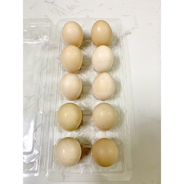 Vỉ 10 trứng Gà Ta sạch