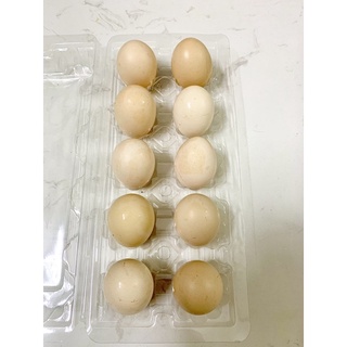 [Tân Phú] Vỉ 10 trứng Gà Ta sạch