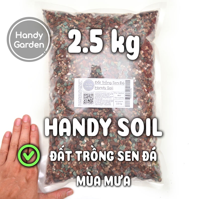 Handy Soil 2.5kg - Đất Trồng Sen Đá Mùa Mưa Sài Gòn