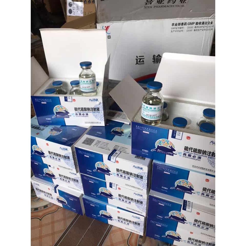 Thuốc nấm cho thỏ loại tiêm