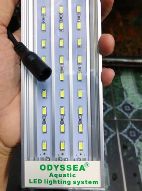 ĐÈN LED THỦY SINH ODYSSEA X450 10000K 81 BÓNG 27W CHO HỒ 45 ĐẾN 55CM