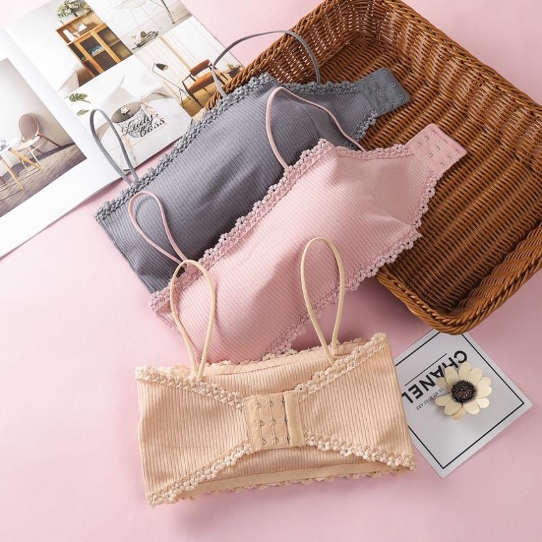 [Giá sỉ] Áo Bra Cotton Tăm Viền Ren Cài Sau Siêu Mềm Đẹp 8832
