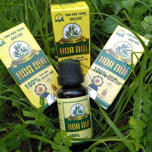 COMBO 2 TINH DẦU TRÀM HOA NÚI
