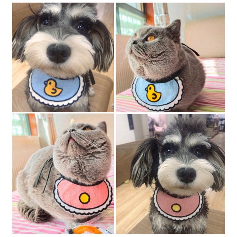 Yếm ăn dành cho thú cưng