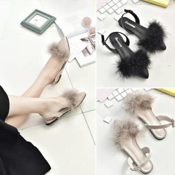 Bệt lông mũi nhọn /