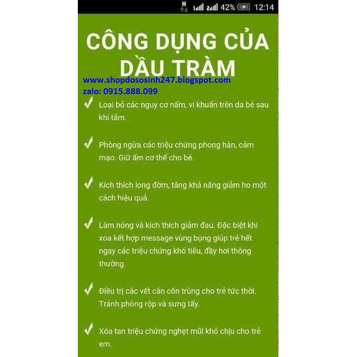 100ml Tinh dầu tràm Huế