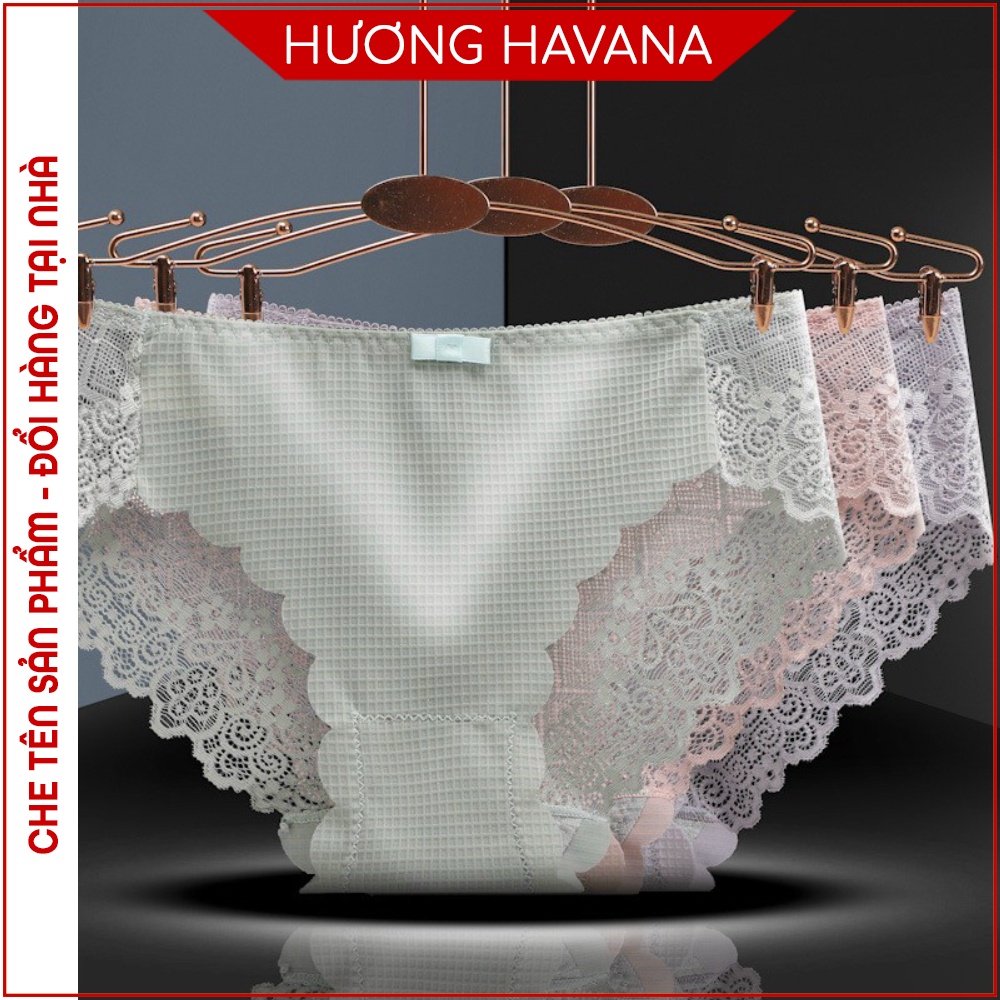 Quần lót su HAVANA gân caro pha ren - hàng cao cấp FLQ50