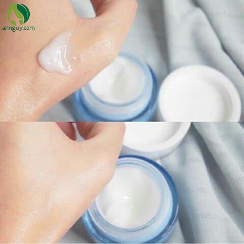 Kem dưỡng ẩm Laneige Water Bank Hydro Cream EX 20ml