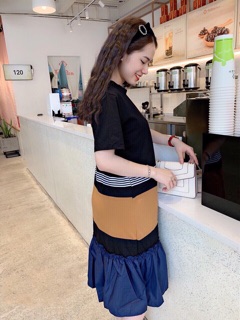 Đầm Đuôi Tôm Phối Màu