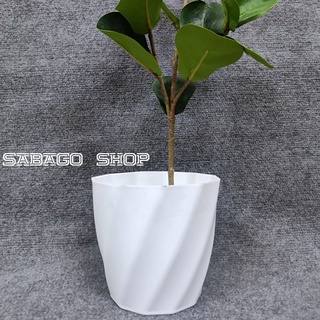Chậu nhựa trồng cây siêu đẹp màu trắng