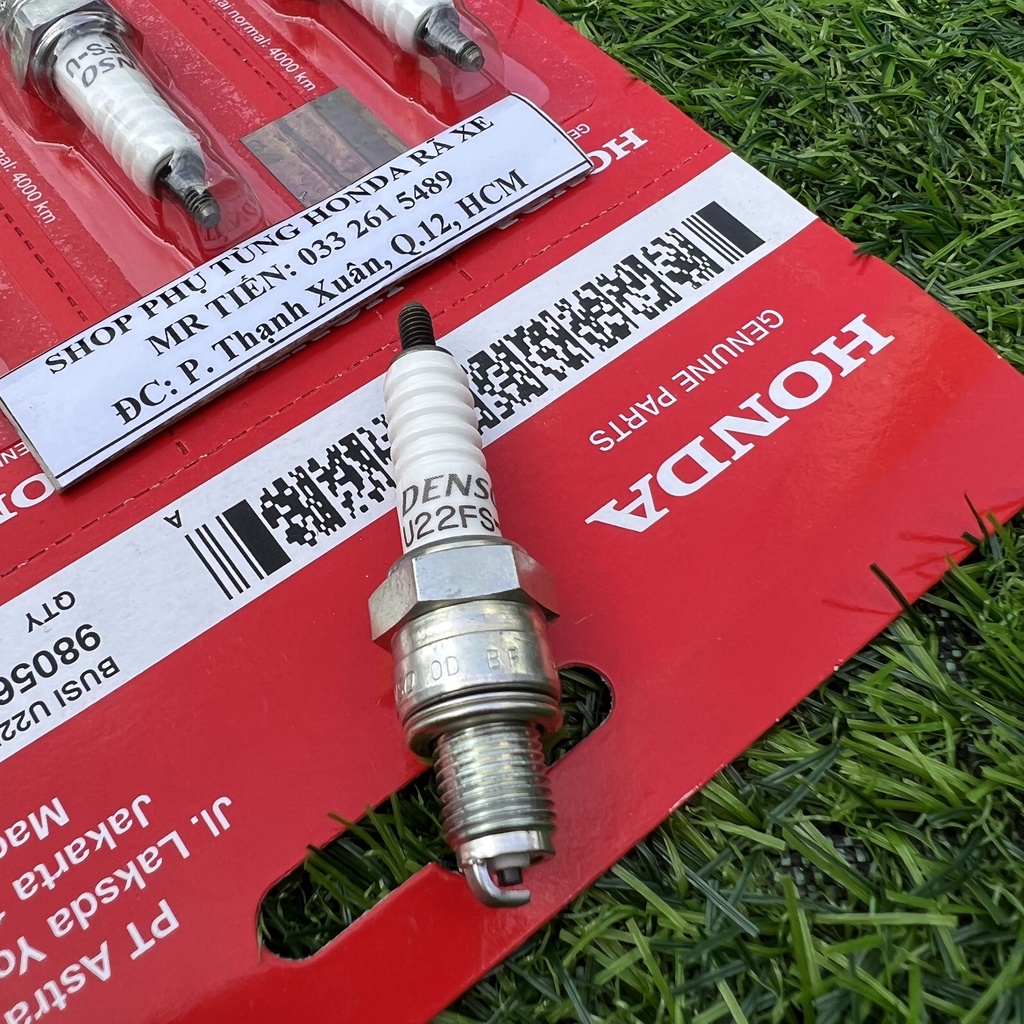 BUGI NỘI ĐỊA INDONESIA