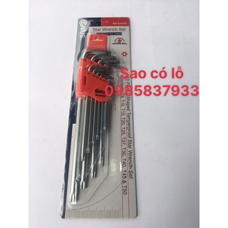 Bộ lục giác đầu sao lỗ 10 chiếc SK-010TS tiêu chuẩn Mỹ vặn ốc hoa thị lồi tại Máy cầm tay NTT bảo hành dài hạn