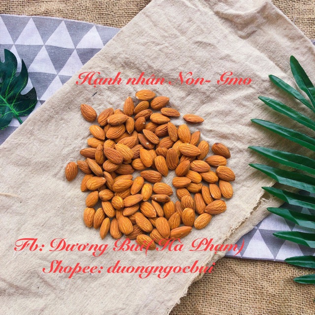 Hạt Non Gmo hạt điều / macca/ hạnh nhân/ óc chó làm sữa hạt siêu ngon cho bé 1y+