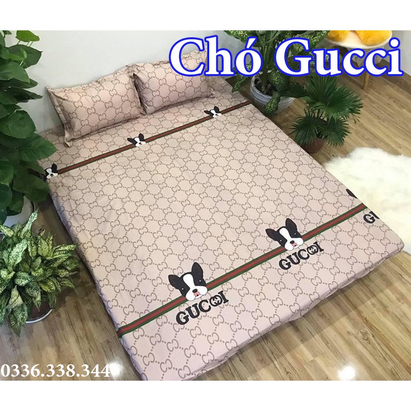 XẢ KHO HÀNG GIÁ XƯỞNG - Combo 1 Ga Chun 2 Vỏ Gối Nằm Cotton Poly | BigBuy360 - bigbuy360.vn