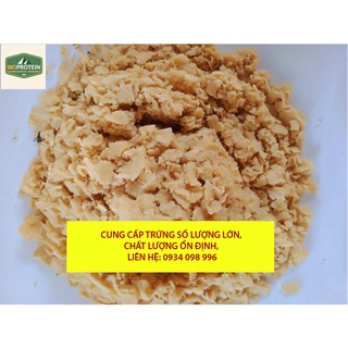 Trứng ruồi lính đen - ấu trùng sâu canxi - 10g