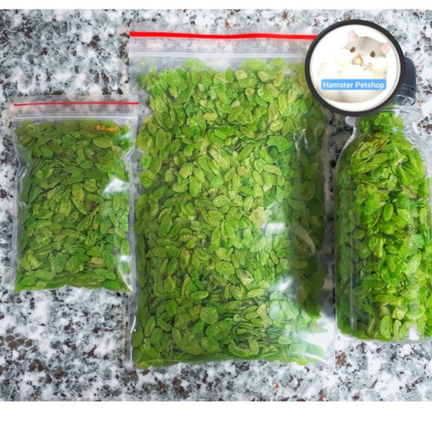 Snack cốm xanh ăn dặm cho Hamster