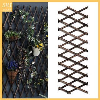Hàng rào gỗ có thể kéo dài được hỗ trợ trồng cây dây leo dùng để trang trí sân vườn