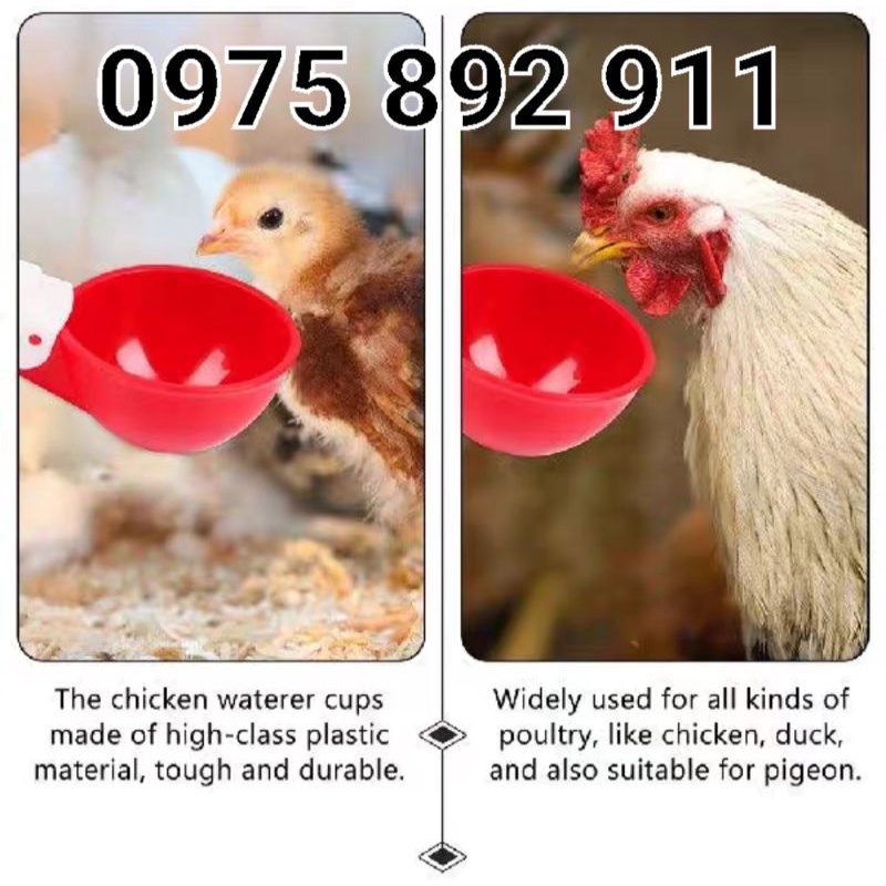 10 cái cốc máng uống tự động cho gà , vịt , chim , thỏ