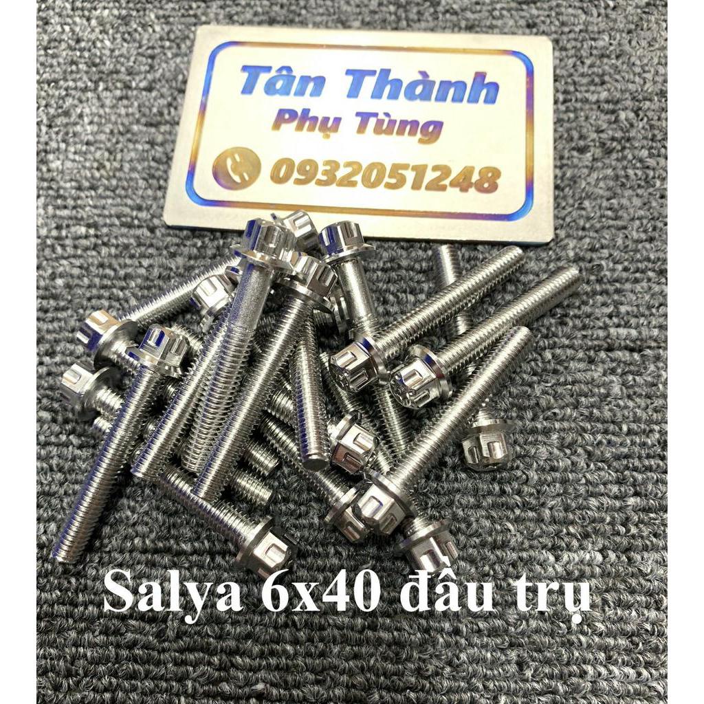 Ốc salaya 6x40 đầu trụ gắn két nước