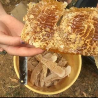 500ml Mật ong rừng nguyên chất