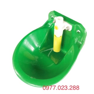 Máng uống nước tự động cho dê cừu