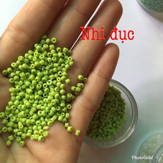 🌺Cườm cát thủy tinh 🌺