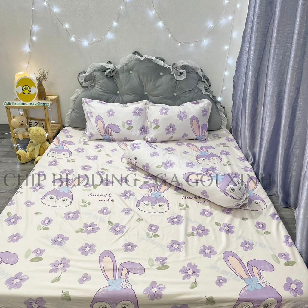 TRỌN BỘ COTTON POLY 5 MÓN CHĂN PHAO DÀY DẶN HÀNG VN - THỎ SWEET - ĐỦ KÍCH THƯỚC