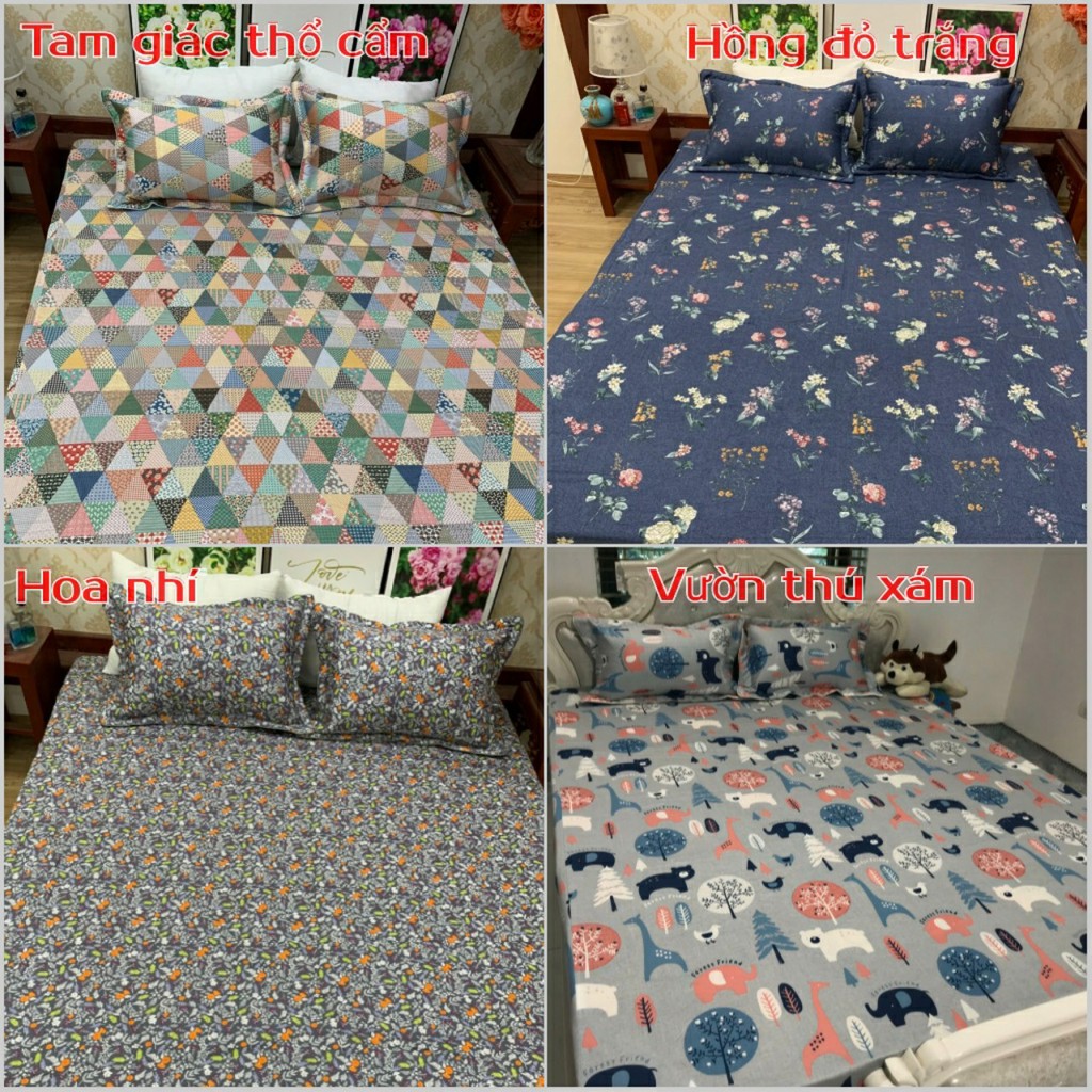 Bộ ga giường và vỏ gối cotton Hàn Quốc, bộ ga gối cotton cao cấp bo chun đủ size đệm 1m2 1m4 1m6 1m8 2m2 đẹp