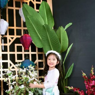 Cây chuối giả cảnh cao 2,2met