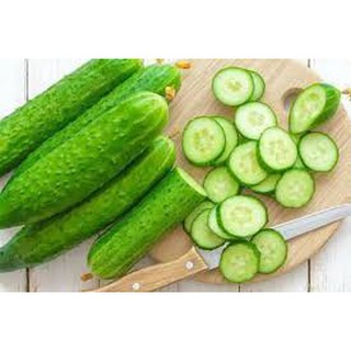 Hạt giống dưa chuột nếp ta