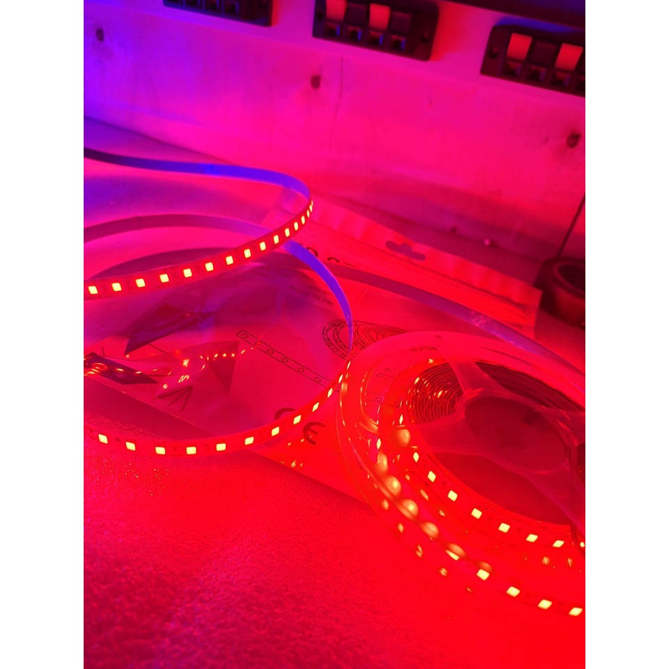 LED dây 12v vàng nắng cuộn 5 mét