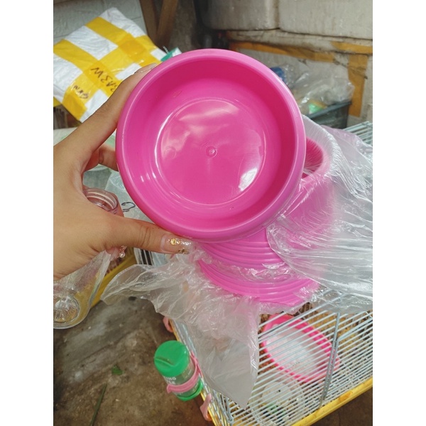 Chén ăn cho thỏ, lang, sóc , chó, mèo