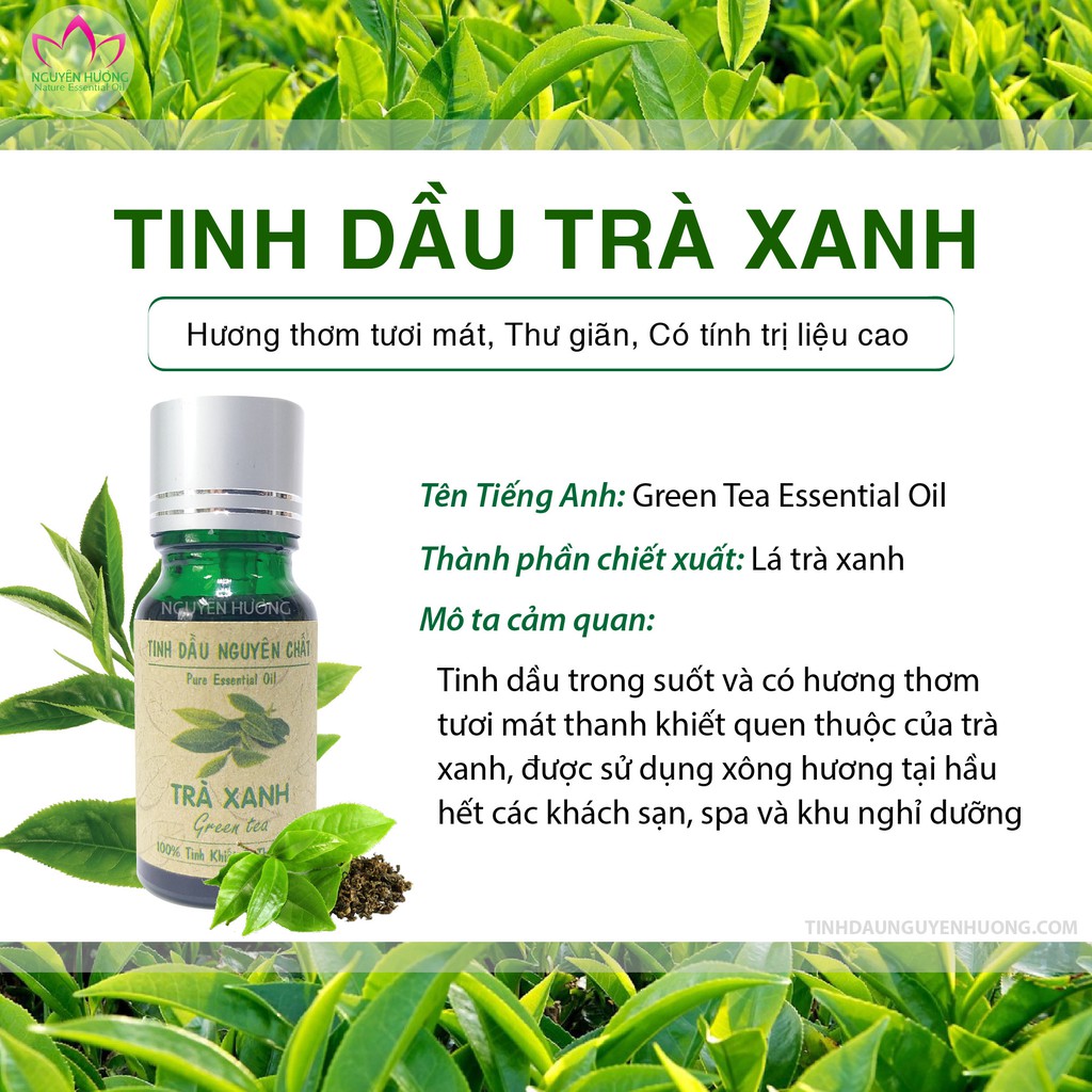 Tinh dầu Trà Xanh - Green Tea Nguyên Hương Việt Nam | Có Kiểm Định Chất Lượng | Xông thơm phòng
