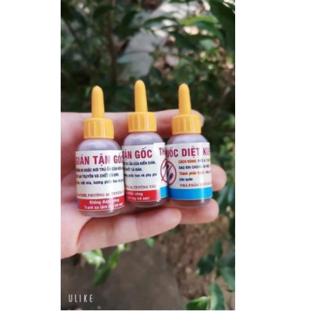 Thuốc kiến, gián sinh học an toàn, hiệu quả, chai 10ml