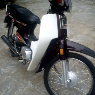 Yếm dream loại 1 - bửng xe